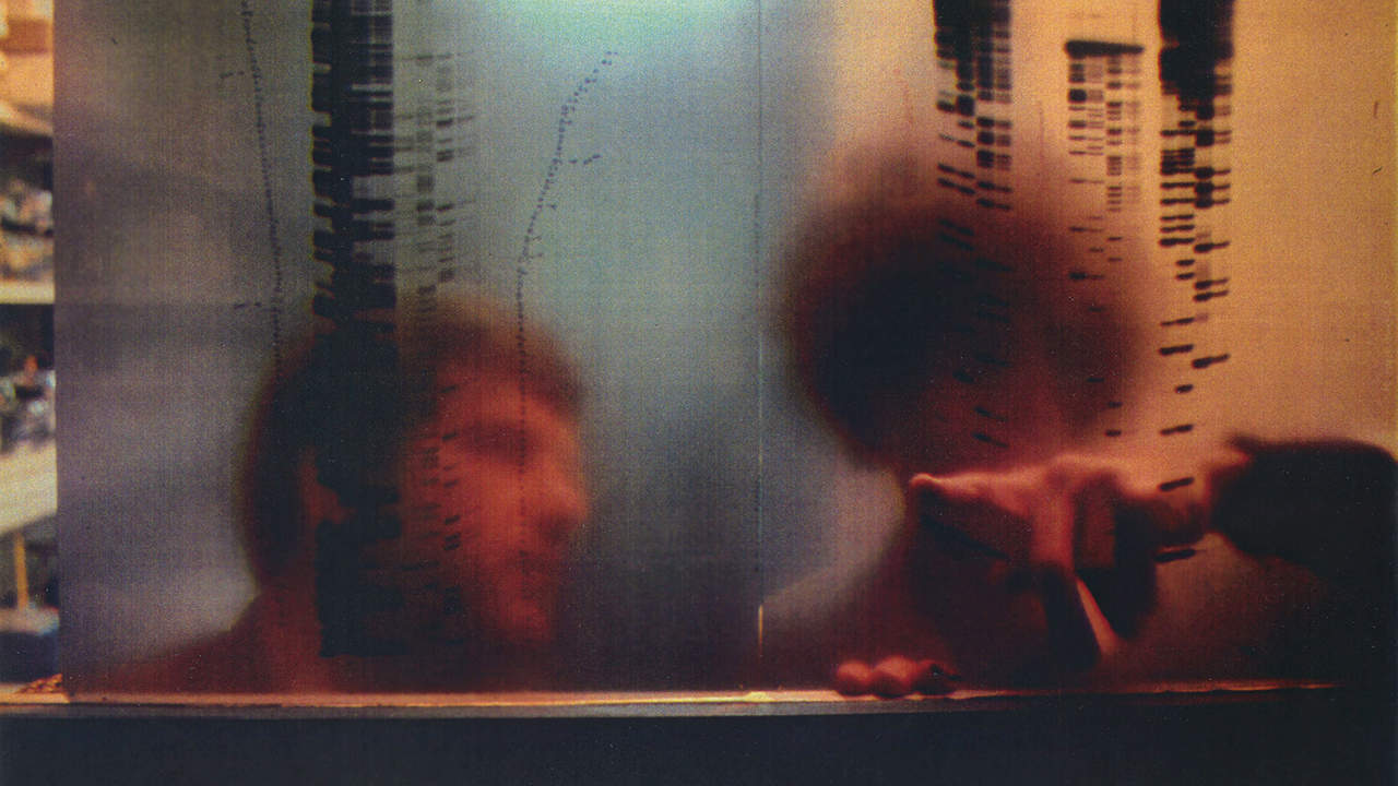 The Human Genome Project: Big Science