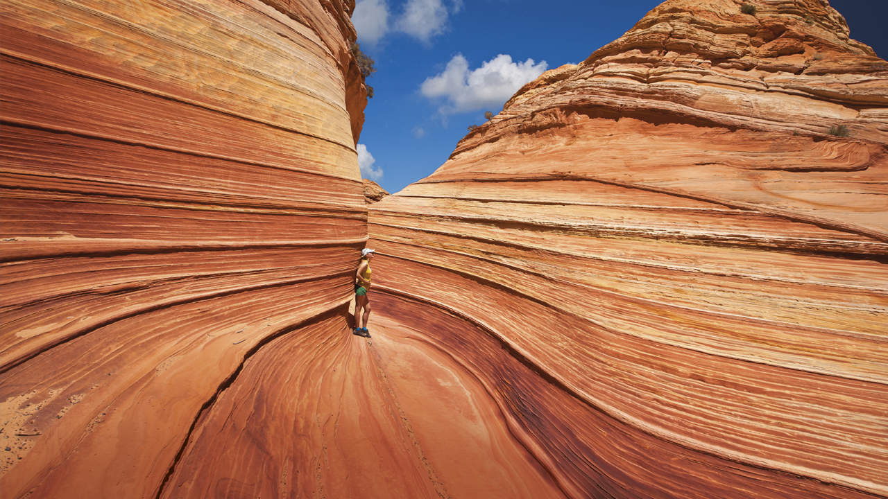 A Geological Marvel: The Wave