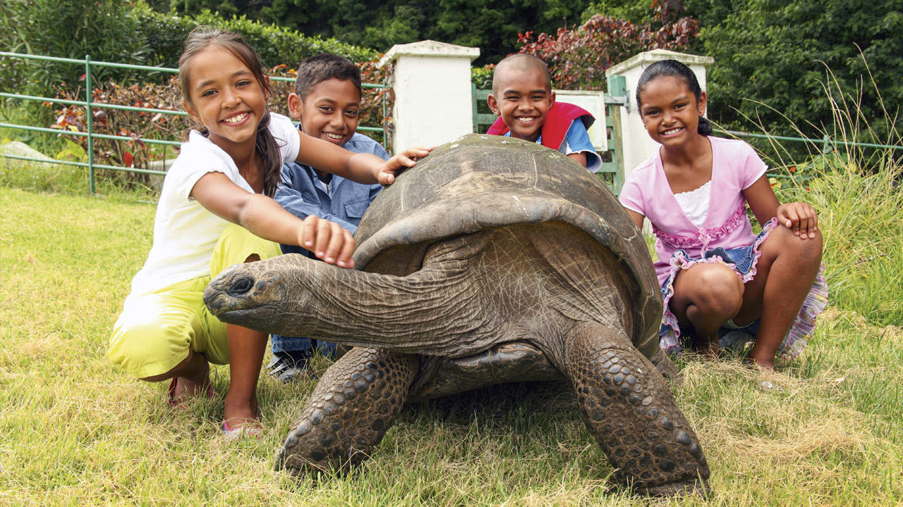 Saint Helena: Cultural Melting Pot