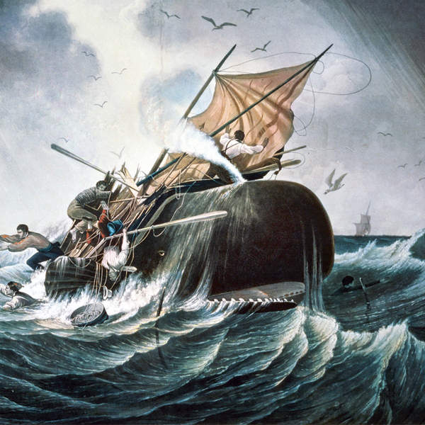 "Moby-Dick or The Whale" by Herman Melville