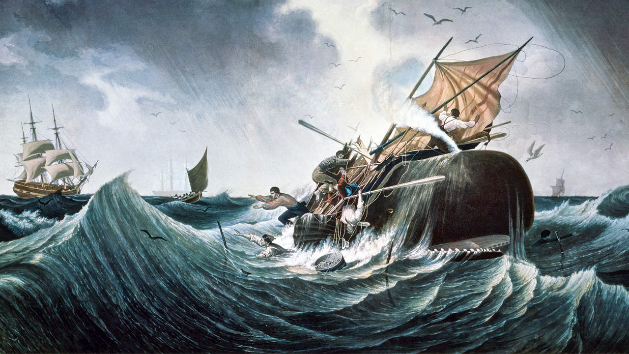 "Moby-Dick or The Whale" by Herman Melville
