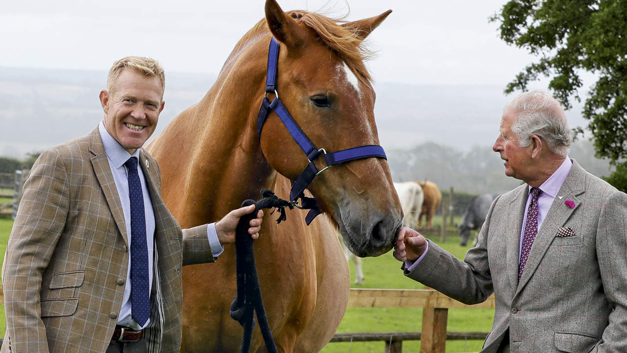 Gentle Giants: Suffolk Punch Horses