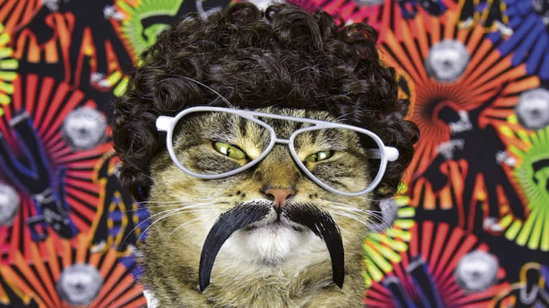 411 CAT PEOPLE INTERVIEW Paul Koudounaris 01