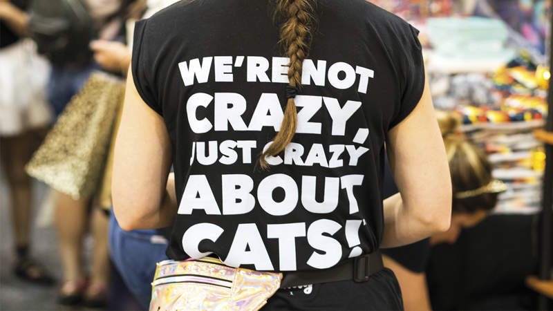 411 CAT PEOPLE ISTOCK