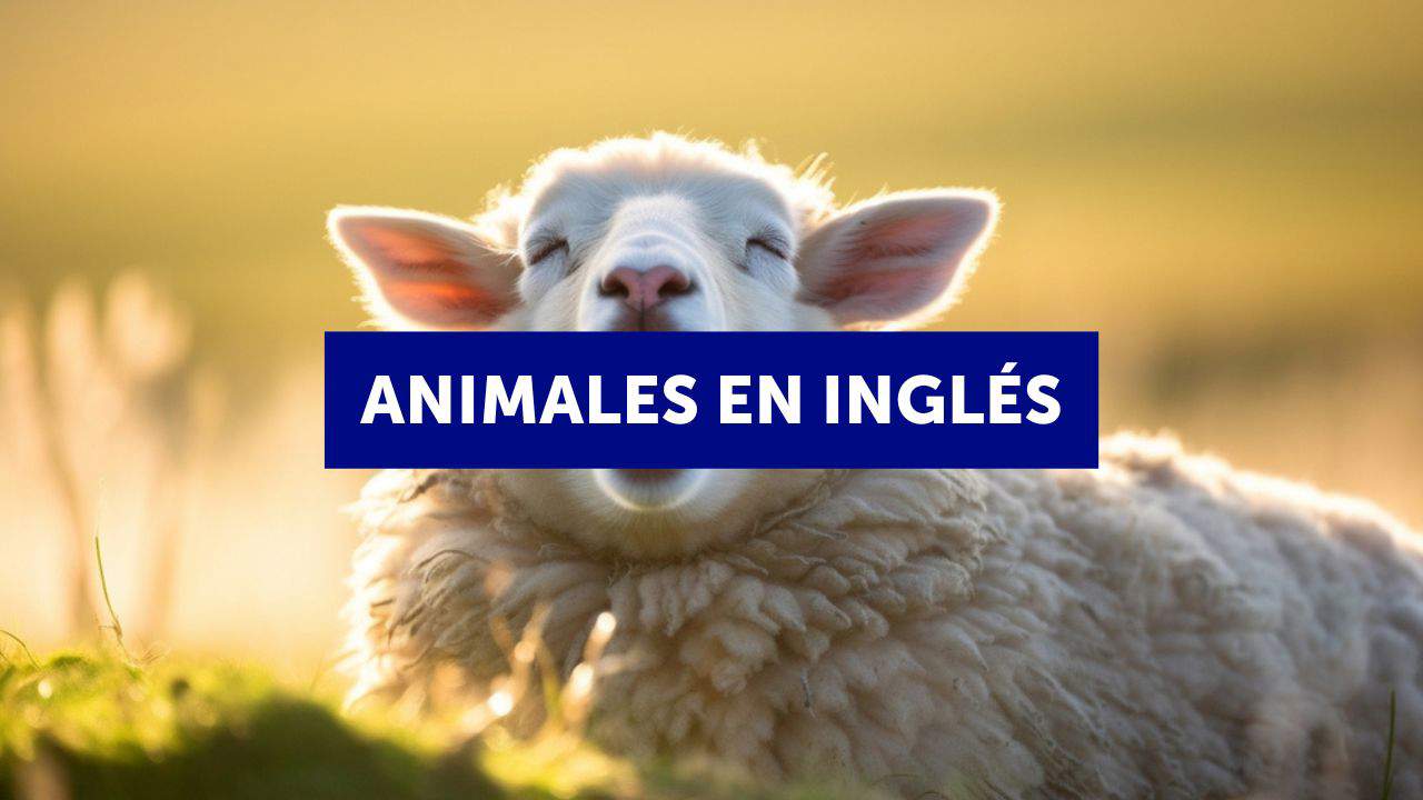Los animales en inglés : listas de vocabulario en inglés y en español 