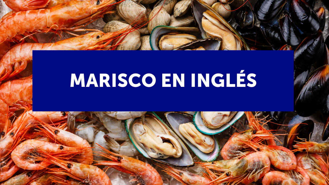 Vocabulario sobre marisco en inglés: 20 nombres de marisco y 5 expresiones populares 