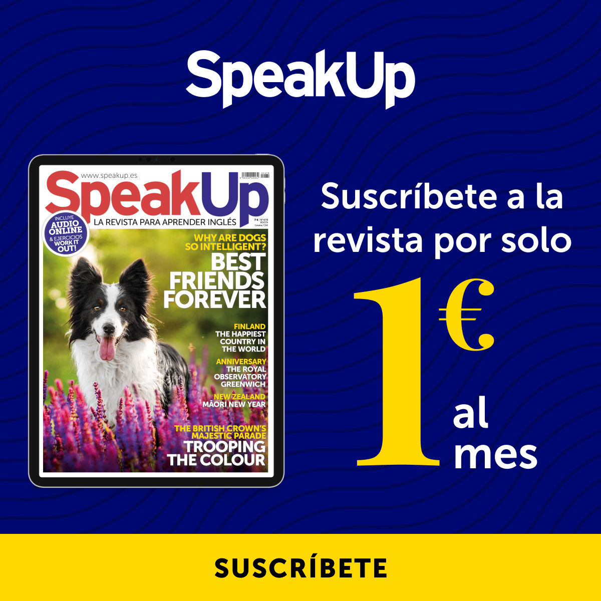 Speak Up